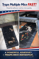 Heavy-Duty Sticky Mouse Trap – Catches Mice Fast & Easy