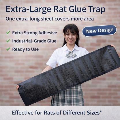 Heavy-Duty Sticky Mouse Trap – Catches Mice Fast & Easy